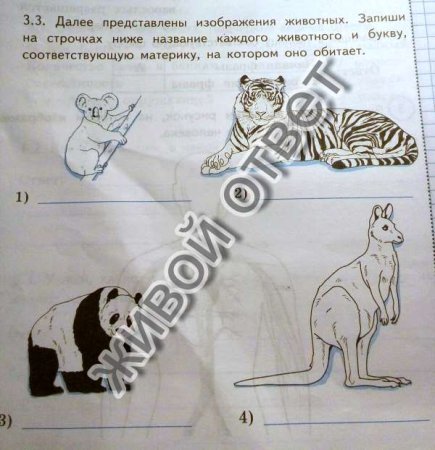 На рисунках представлены изображения животных