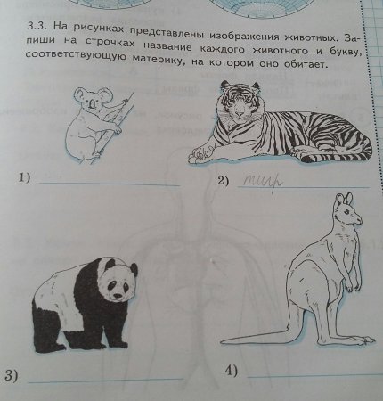 Далее представлены изображения