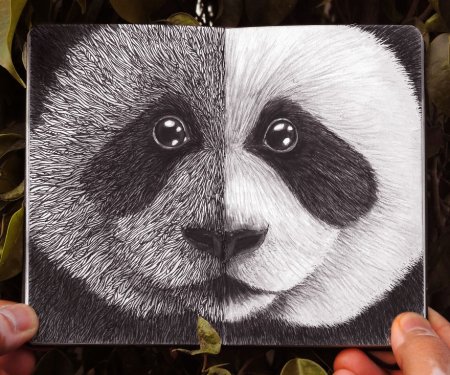 Рисунки маркерами Панда