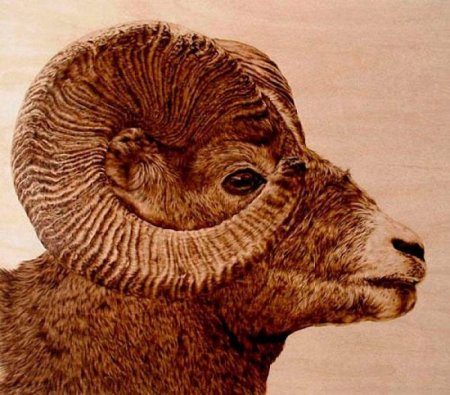 Джули Бендер пирограф