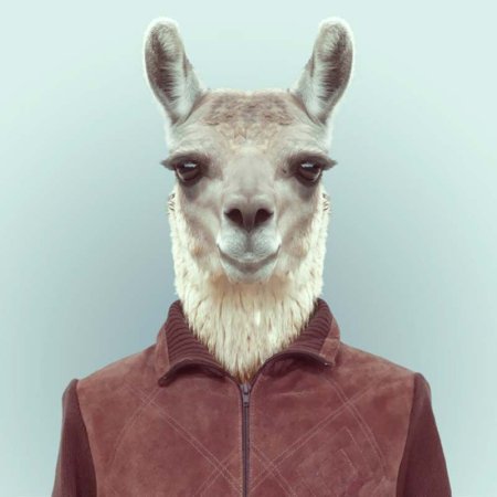 Человек с головой животного