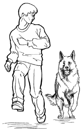 Джейкоб Сумерки арт