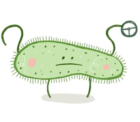 Микроб инфузория туфелька