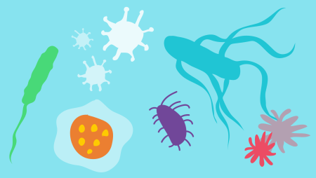 Инфекция рисунок