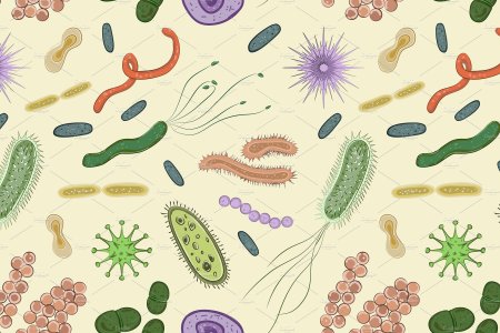 Паразиты и бактерии фон