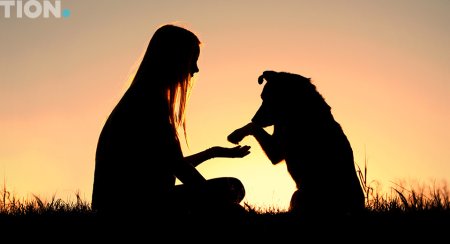 Девушка с собакой на закате