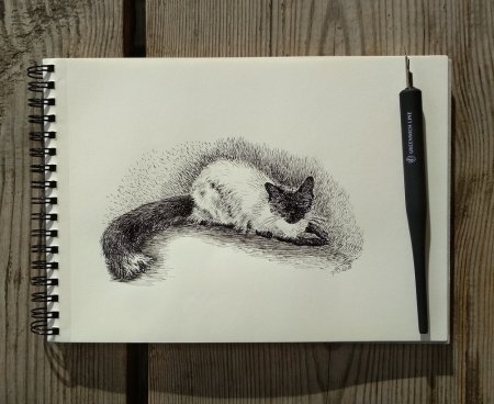 Перо для рисования тушью