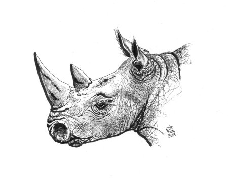 Рисунок тушью животные