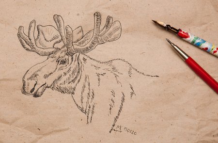 Перо для рисования