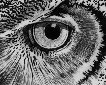 Животные тушью