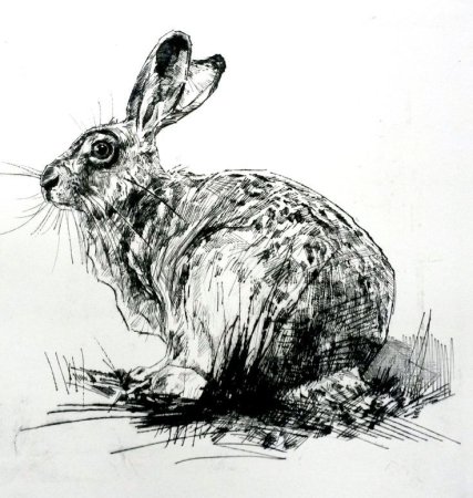 Тушь с уткой