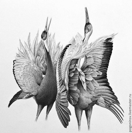 Гравюра птицы