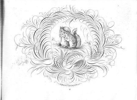 Животные в графике