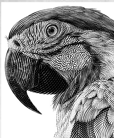 Alfred Basha художник