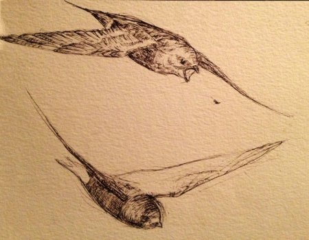 Тушь для каллиграфии