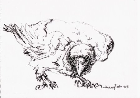 Каллиграфическое рисование