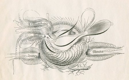 Ворон набросок Графика