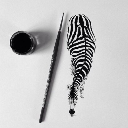 Графика животные