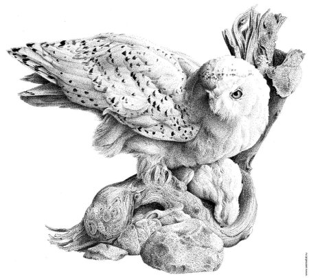 Тушь для рисования