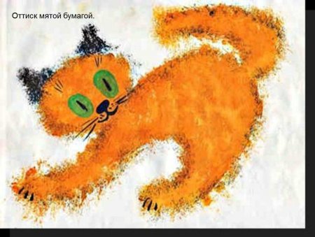 Phylum Porifera structure