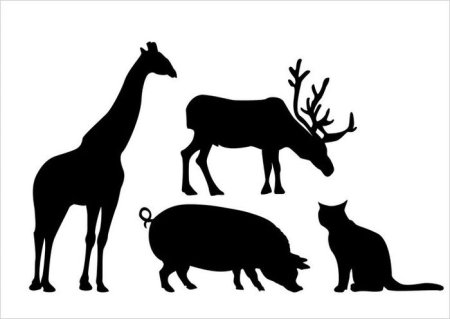 Силуэты животных