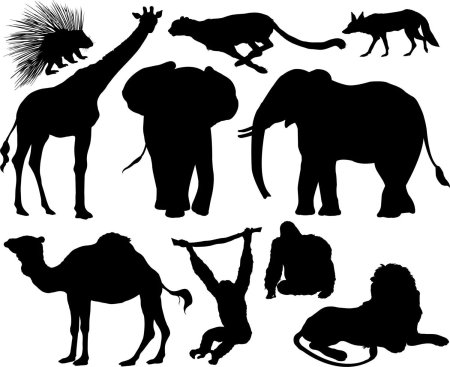 Силуэты зверей