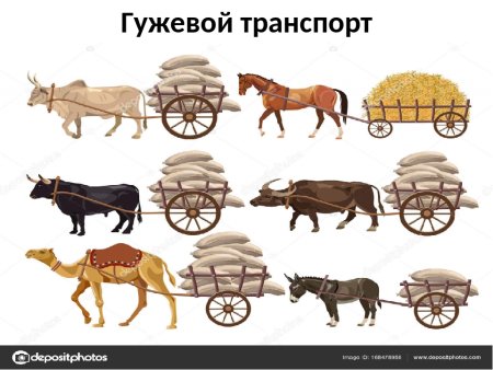 Гужевой транспорт