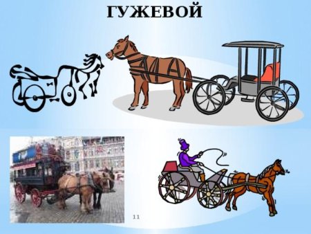 Гужевой транспорт для дошкольников