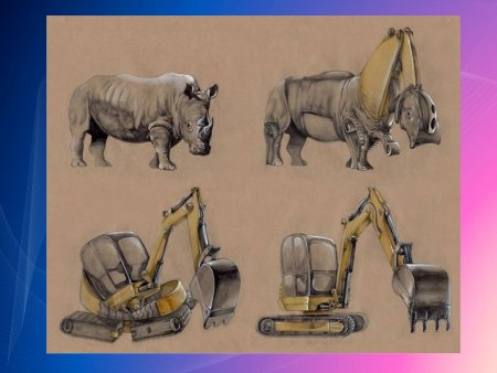 Трансформация животных