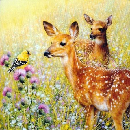 Художник Джордано Грег