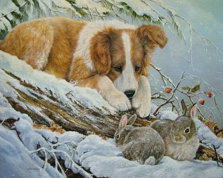 Shirley Deaville картины