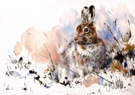 Lucy Newton акварель