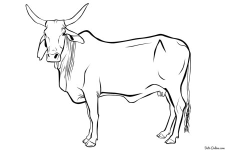 Нарисовать корову