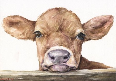 Раскраска корова