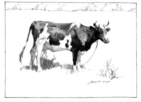 Константин Ушинский — коровка