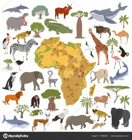 Животные по континентам