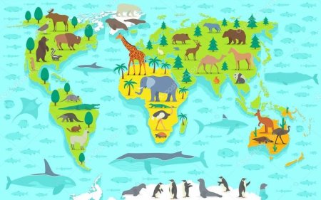 Животные материков для детей