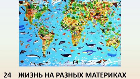 Жизнь организмов на разных материках