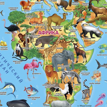 Карта мира для детей "животный и растительный мир земли" Globen Челябинск