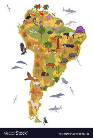 Флора и фауна Южной Америки карта