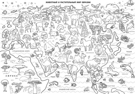 Раскраска Евразия для детей