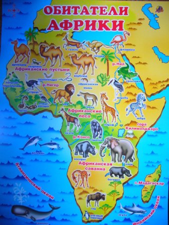 Животные Африки на карте