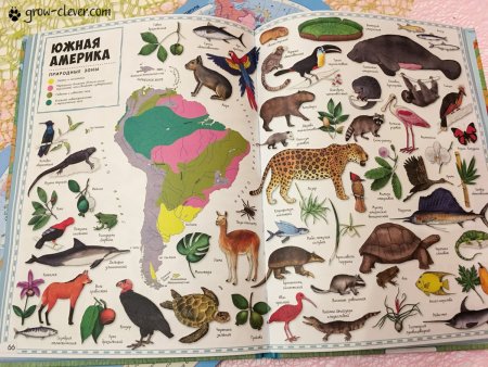 Карта животных