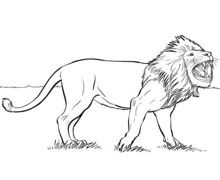 Раскраска гепард