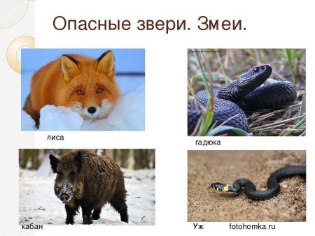 Змея карандашом