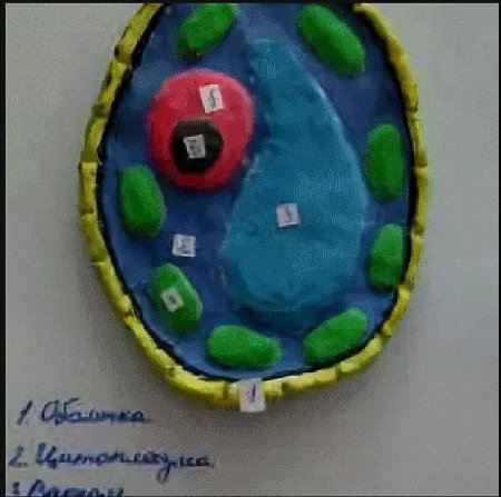 Модель клетки коронавируса или другого вируса, сделанная из пластилина, изолированного на белом