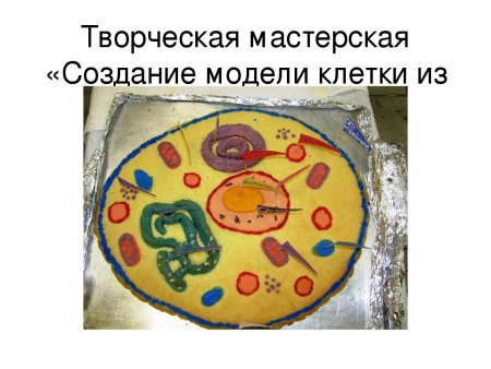 Биология 5 класс строение клетки растительной модель