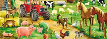 Дидактическая двор домашних животных