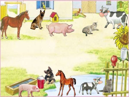 На бабушкином дворе домашние животные
