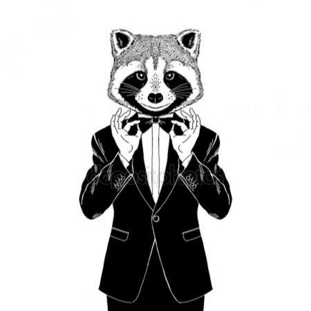 Енот в пиджаке